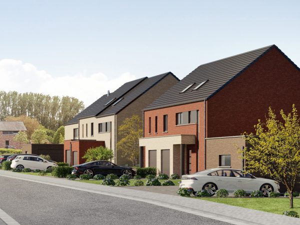 Novilla 11 6294949_55704469.jpg