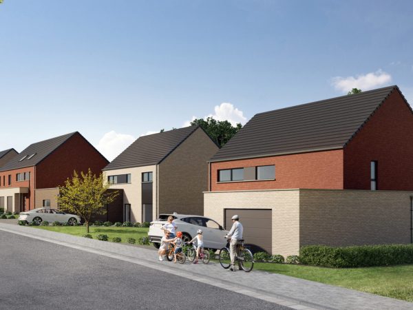 Novilla 12 6294949_55704470.jpg